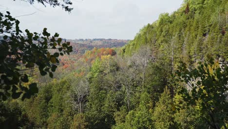 Milton,-Ontario-Waldlandschaft-An-Einem-Sonnigen-Tag-Im-Herbst