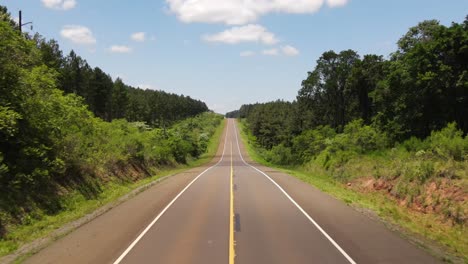 A-beautiful-road-in-Argentina-surrounded-by-native-woodlands-and-pine-plantations,-showcasing-the-picturesque-blend-of-natural-beauty-and-forestry