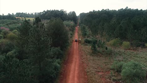 Pickup-truck-drives-along-a-dirt-road-in-the-heart-of-the-jungle,-illustrating-the-spirit-of-adventure-and-exploration-in-the-lush-wilderness