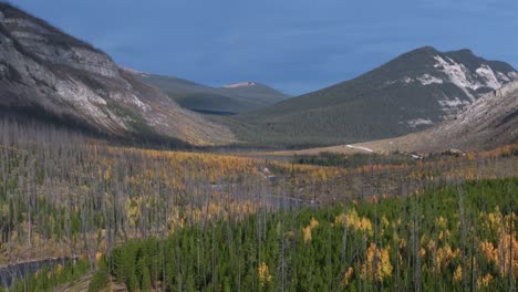 The-Red-Deer-River-flows-out-of-the-Rocky-Mountains-meandering-through-a-forest-of-evergreen-and-deciduous-trees-during-autumn-making-a-beautiful-shot