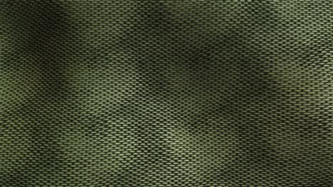 Olive-Green-Snakeskin-Pattern-in-Waves---Animation