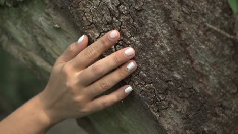 Female-hands-tenderly-caress-a-tree,-symbolizing-the-deep-connection-between-nature-and-humanity
