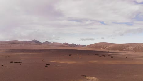 Palmira-Desert,-Chimborazo,-Ecuador
