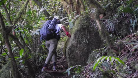 Woman-with-heavy-back-pack-hikes-up-steep-jungle-trail-in-Honduras