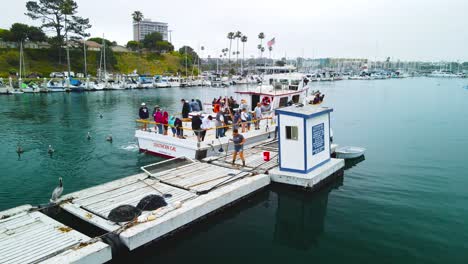 drone-view-of-oceanside-harbor-bait-receiver