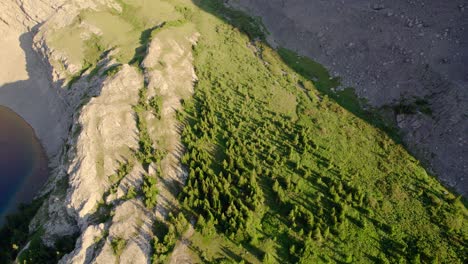 Luftaufnahme-Von-Oben-Nach-Unten-Auf-Den-Alpensee-Und-Den-Wald-Carnarvon-Lake,-Kananaskis,-Alberta,-Kanada