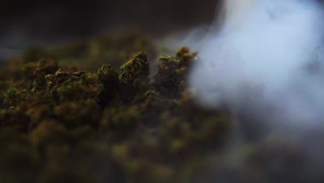 CBD-and-THC-marijuana-buds-recorded-from-up-close-as-the-smoke-drifts-by