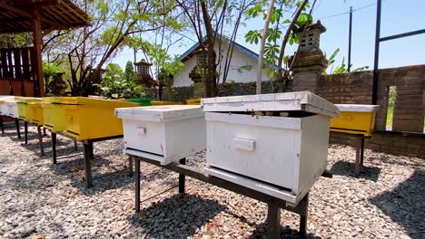 Many-beehives-on-sunny-day-in-Indonesia,-motion-view