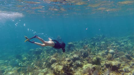 Young-woman-dives-to-healthy-shallow-coral-reef-in-tropical-sea-water