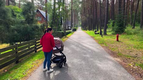 Woman-with-a-baby-in-a-stroller-in-an-area-with-wooden-houses-and-a-forest