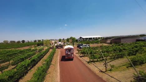Stunning-drone-perspective-of-a-vineyard-farm,-showcasing-a-tractor-ferrying-participants-to-an-event,-located-in-Ecatepec-de-Morelos,-Mexico