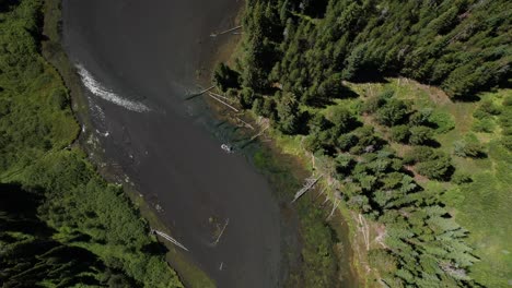 Beautiful-drone-Aerial-of-a-rafter-on-the-Big-springs-river-in-Island-Park-Idaho-near-Yellowstone-National-park