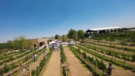 An-event-is-being-held-at-a-vineyard-in-Ecatepec-de-Morelos,-Mexico,-where-attendees-are-required-to-wear-white-attire
