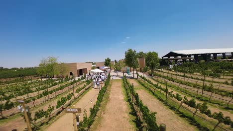 An-event-is-being-held-at-a-vineyard-in-Ecatepec-de-Morelos,-Mexico,-where-attendees-are-required-to-wear-white-attire