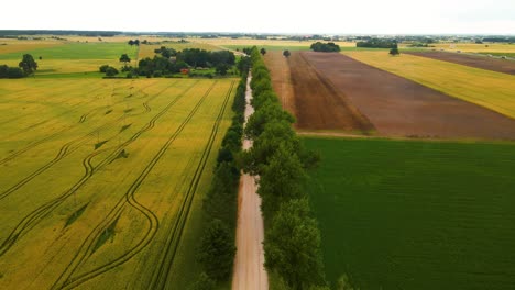 Drohnenaufnahme-Einer-Schmalen-Straße-Mit-Bäumen-An-Der-Seite-In-Einem-Wunderschönen-Ackerland-In-Europa-An-Einem-Sommertag