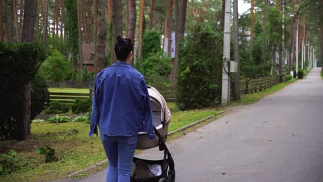 Woman-with-a-baby-in-a-stroller-in-an-area-with-wooden-houses-and-a-forest