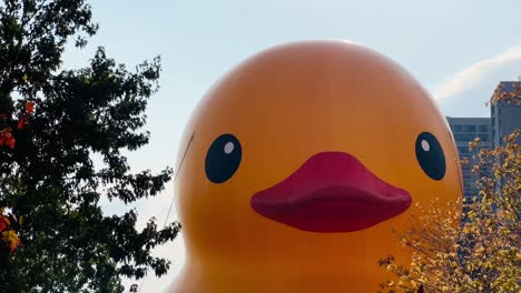 Worlds-largest-giant-rubber-duck-returns-in-Toronto-in-sept-at-Queens-Quay-East