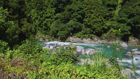 Río-Prístino-En-El-Valle-De-Iya-De-Shikoku-Japón-4k