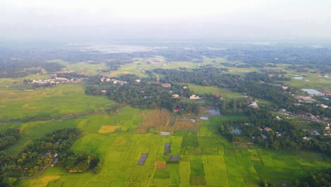 Luftaufnahme-Der-Bangladeschischen-Landschaft