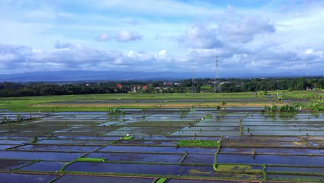 Escena-Rural-Con-Campos-Agrícolas-Cerca-De-Pueblos-En-Seseh,-Bali-Indonesia