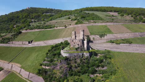 Burg-Ehrenfels-Castle-ruins-amid-hillside-vineyards-of-middle-Rhine-Valley-in-Ruedesheim,-Germany