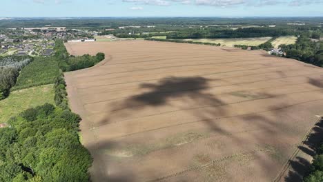 Golden-EU-grain-fields-high-angle-panoramic-aerial-view---Slow-moving-aerial-from-Djursland-Denmark-in-60-fps