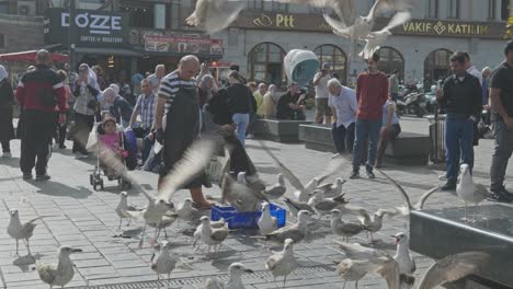 Pigeons-take-off-as-fishmonger-takes-box-in-busy-market-square-slow-motion