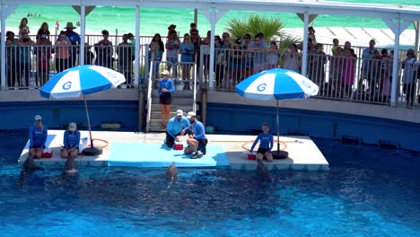 Delfinshow-Im-Gulfarium-Marine-Adventure-Park-Auf-Der-Insel-Okalaloosa,-Destin-Florida,-USA
