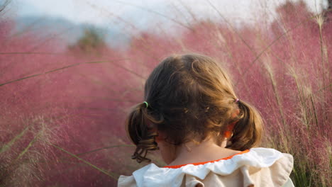 Portrait-of-Little-Girl-Toddler-With-Pigtails-Hides-in-Pink-Muhly-Grass-or-Muhlenbergia-Capillaris-at-Sunset---Shallow-Focus