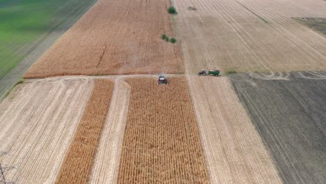 Aerial-view-of-agriculture-machinery-harvesting-corn-in-golden-fields