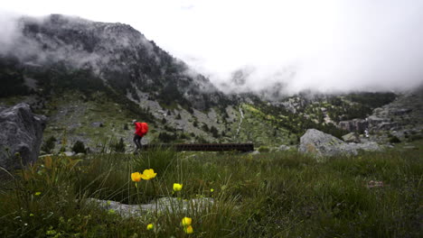 Trekking-En-Solitario-En-El-Parque-Nacional-De-Aigüestortes-Pirineo-Catalán-España,-Mochilero-Con-Chaqueta-Roja-Caminando-Solo-En-Montañas-Fondo-Natural-Escénico-Con-Flor-Amarilla