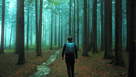 Shot-of-a-hiker-with-backpack-and-equipment-walking-on-a-narrow-path-through-forest-on-a-foggy-morning