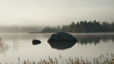 Calming-view-of-misty-autumn-morning-near-lake-side