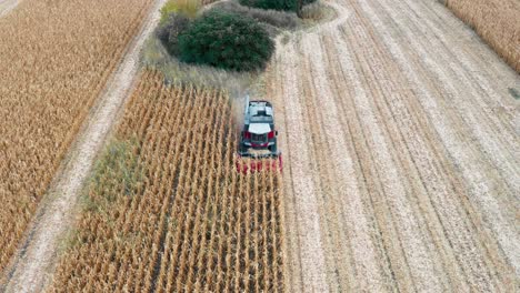 Aerial-view-of-combine-harvesting-corn-in-golden-fields