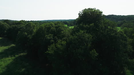 Dense-Bushes-And-Green-Plains-During-Sunny-Day-Near-Illinois-River-In-Arkansas,-USA