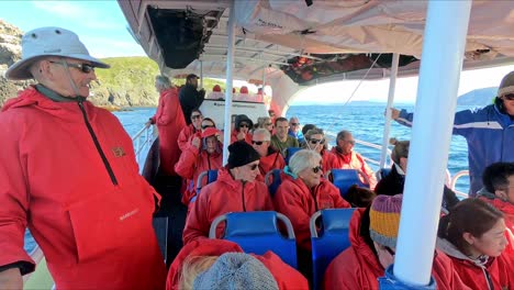 Bruny-Island,-Tasmanien,-Australien---15.-März-2019:-Passagiere-Beobachten-Delfine-Auf-Einem-Hochgeschwindigkeits-Touristenboot-In-Der-Nähe-Von-Bruny-Island-In-Tasmanien