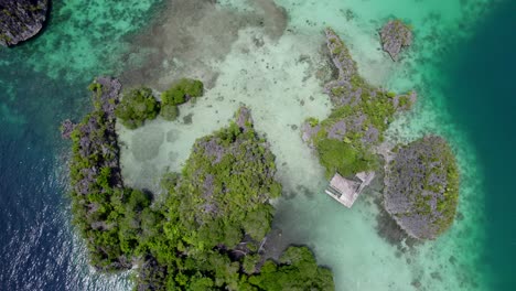 Raja-Ampat-aerial-of-the-beach-and-reef-on-a-hot-sunny-day