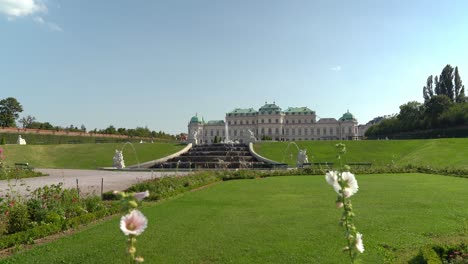 Flowers-Waving-in-the-Wind-in-Upper-Belvedere-Palace-Gardens