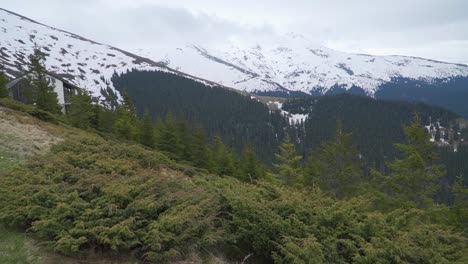 Evergreen-trees-cover-low-mountain-slopes-to-snow-line-and-rugged-peaks-shrouded-in-low-clouds-in-distance