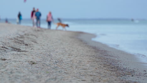 Soft-Focus-Low-Down-Beach-and-Ocean-View-of-People-and-Dog