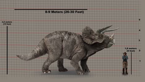 Comparison-Of-Heights---Triceratops-Versus-Human-On-Height-Chart