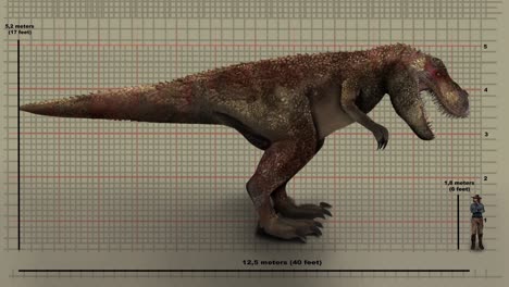 Animated-T-Rex-Dinosaur-Against-Height-Chart
