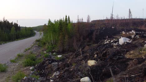 Edge-of-an-area-of-forest-destroyed-by-a-wildfire-near-Lebel-sur-Quevillon-in-Quebec,-WIldfire-aftermath-debris,-Canada