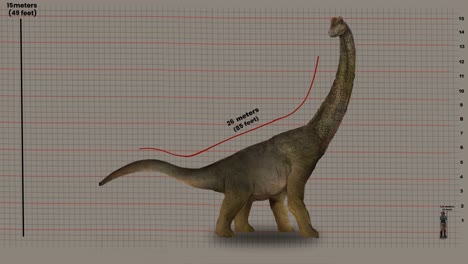 Animiertes-3D-Modell-Des-Brachiosaurus,-Das-Seine-Höhe-Und-Länge-Zeigt