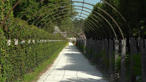 Tunnel-Structure-in-Mirabell-Palace-Gardens-made-for-Plants-to-Grow