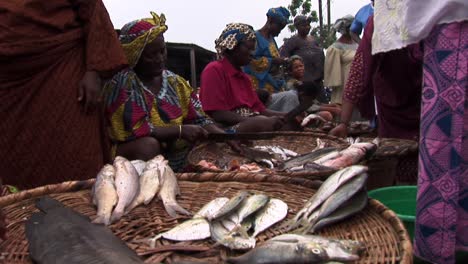 Fish-market-in-Nigeria.-Women-chopping-fish