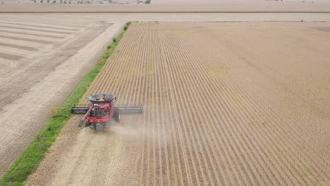 Luftaufnahmen-Des-Mähdreschers,-Der-Getreide-Auf-Einem-Landwirtschaftlichen-Feld-Erntet