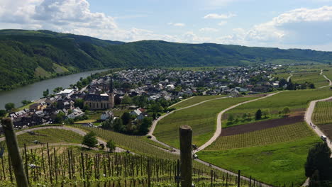 Pan-over-the-Mosel-Valley-in-Kröv-with-vineyards,-on-a-sunny-summer-day