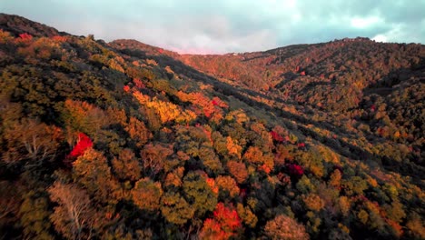 leaf-color-in-blue-ridge-and-appalachian-mountains-in-fall-near-boone-and-blowing-rock-nc,-north-carolina