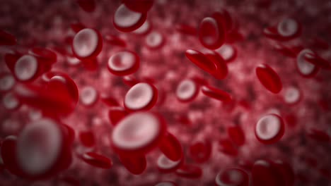 Red-blood-cells-in-an-artery.-Red-blood-cells-moving-in-the-blood-stream.
